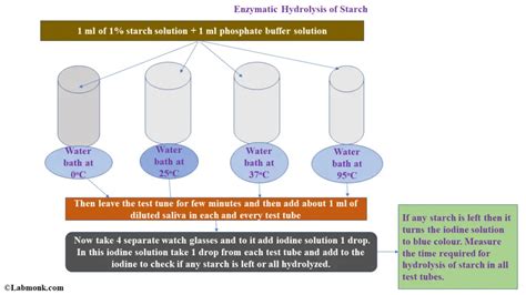 Study of Enzymatic Hydrolysis of Starch - Labmonk