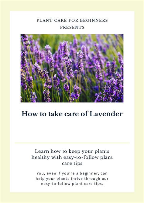 Shop for your How to take care of Lavender