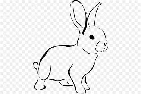 Lop Ear Rabbit Coloring Printable Coloring Pages