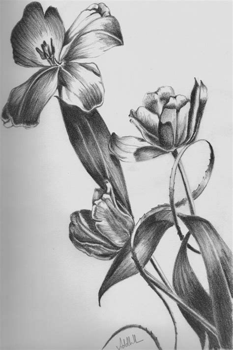 50 Easy Flower Pencil Drawings For Inspiration | Flower drawing, Pencil ...