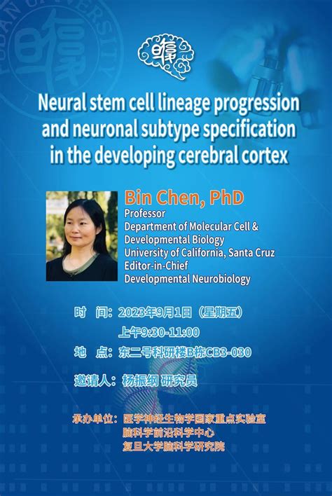 Neural Stem Cell Lineage Progression And Neuronal Subtype Specification