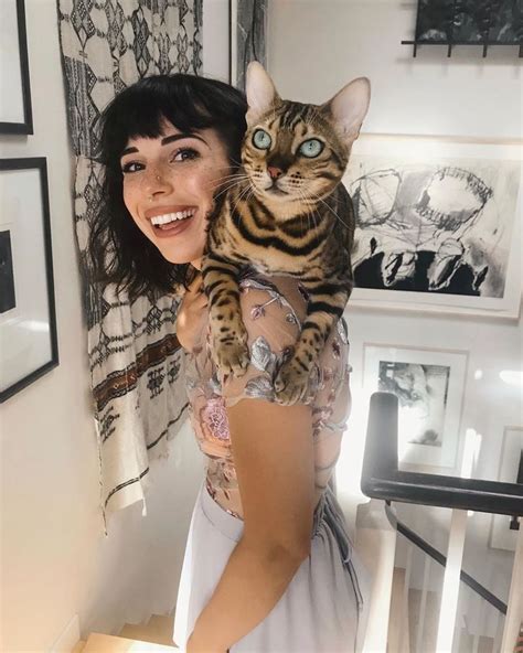 Suki Cat Sukiicat Instagram Photos And Videos Lady Cats Cat Lady