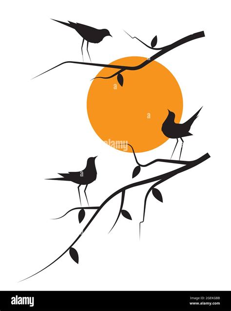 Birds silhouettes on branch on sunset, vector. Birds silhouettes on ...