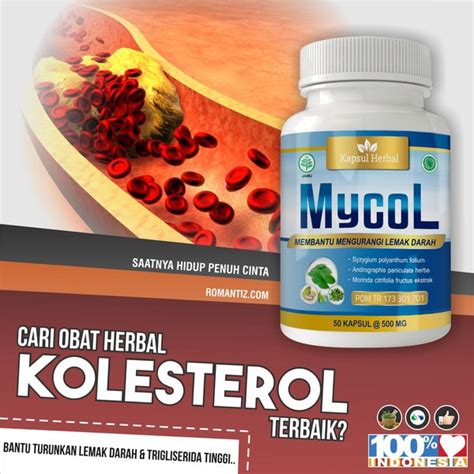 Jual OBAT HERBAL KOLESTEROL - JAMU KAPSUL PENYAKIT KOLESTROL di Lapak ...