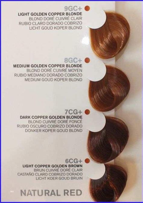 Joico Vero K Pak Hair Color 7cg Age Defy Bol