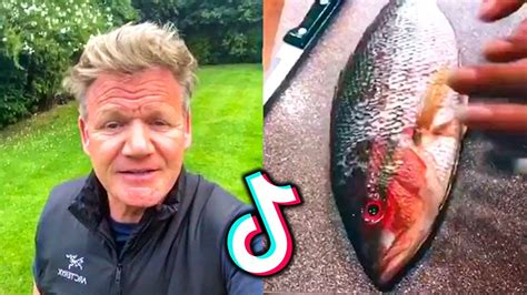 All Gordon Ramsay Reactions To Bad TikTok Cooking YouTube