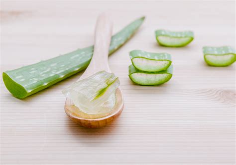 Masque cheveux maison à laloe vera 15 masques pour cheveux à faire à