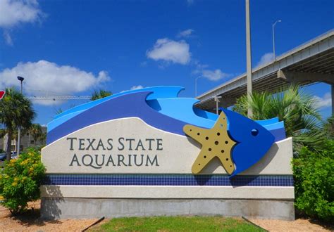 Texas State Aquarium Cetacea Wiki Fandom