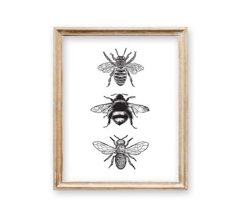 Bee Decor Printable Bee Decorations Bee Print Bee Wall Etsy