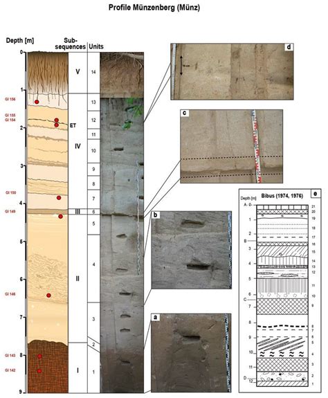 Detailed stratigraphy and photograph of the Münzenberg loess section