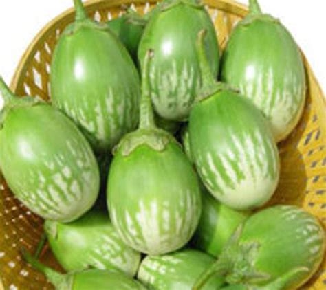 Green Round Eggplant With Light White Stripes - Etsy