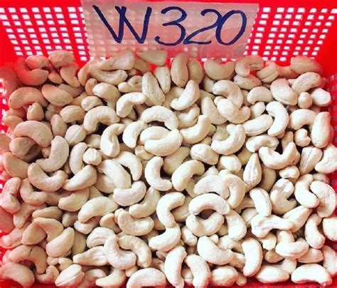 W Whole Cashew Nut At Kg W Cashew Nuts In Panruti Id