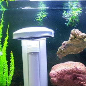 What Are Fish Tank Filters For › Pondon Aquaruim