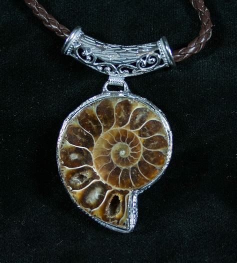 Ammonite Necklace 110 Million Year Old Fossil 7443 For Sale