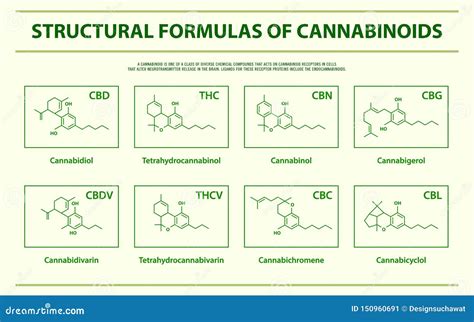 Structural Formulas Of Main Natural Cannabinoids Horizontal Infographic