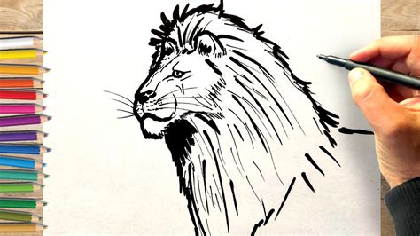 Comment Dessiner Une Tete De Lion Dessin Facile Tete De Lion YouTube