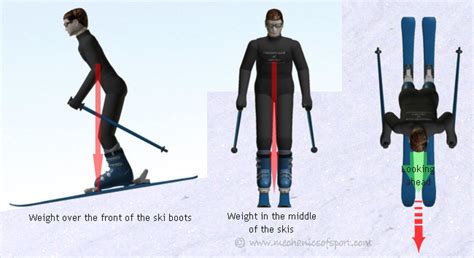 Skiing Stance How To Ski Mechanics Of Skiing