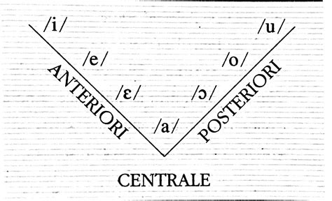 FONETICA E FONOLOGIA DELL ITALIANO STANDARD