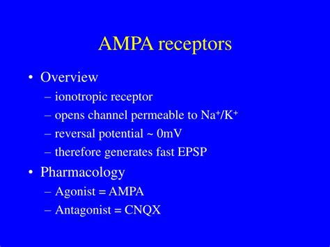 Ppt Excitatory Amino Acids Powerpoint Presentation Free Download