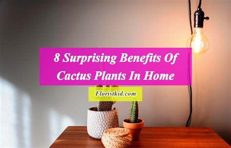 8 Surprising Benefits Of Cactus Plants In Home