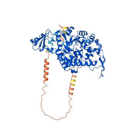 RCSB PDB AF AFP00175F1 Computed Structure Model Of Cytochrome B2