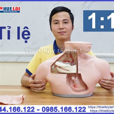 Mô hình thực hành đặt Catheter tĩnh mạch trung tâm Thiết Bị Y Tế Huê Lợi