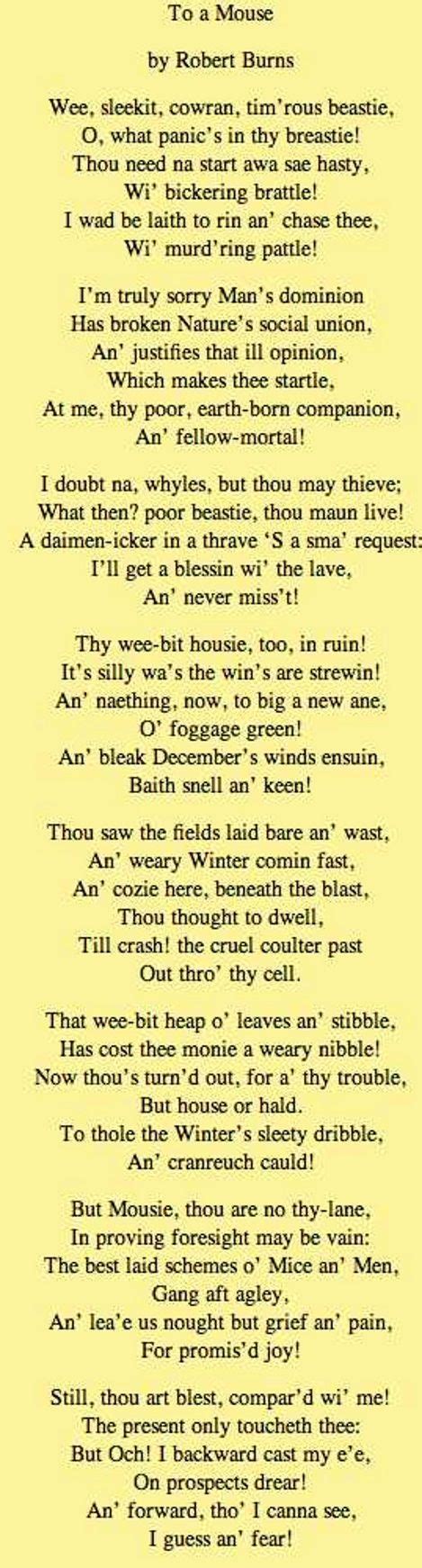 “to A Mouse” By Robert Burns Written After He Had Turned Over The Nest Of A Tiny Field Mouse