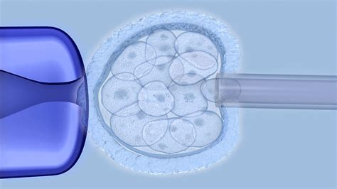 The Power Of Preimplantation Genetic Testing