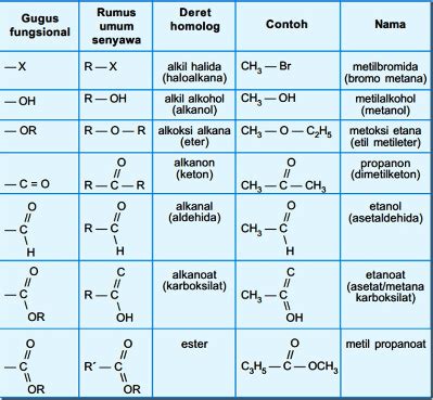 Quiz Klasifikasi Gugus Fungsi Senyawa Organik Quiz Quizizz