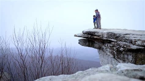 Beyond The Tree Line Beyond The Tree Line Imdb