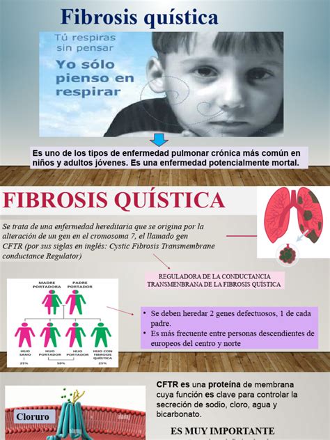 1 Fibrosis Quística Descargar Gratis Pdf Órgano Anatomía Medicina