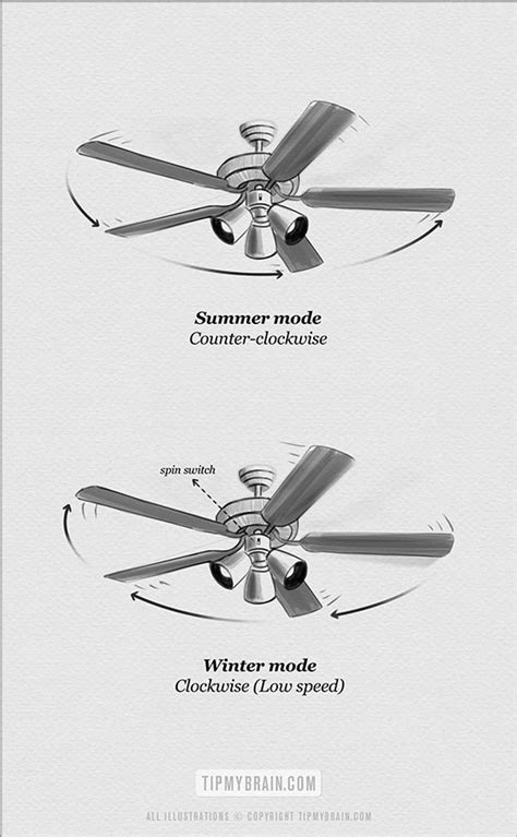 Winter Summer Ceiling Fan Rotation | Americanwarmoms.org