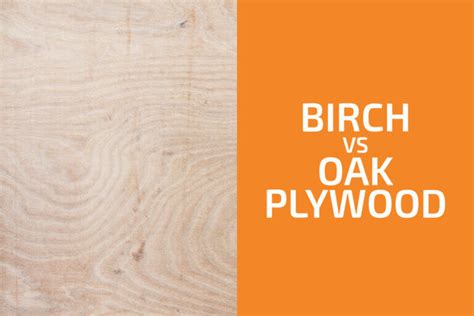 Birch Vs Oak Plywood Which One To Use Handyman S World