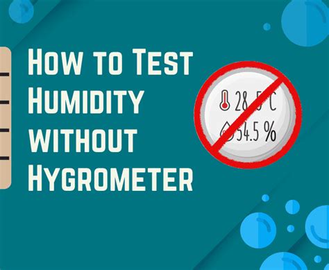 How To Test Humidity Without Hygrometer Best Ways