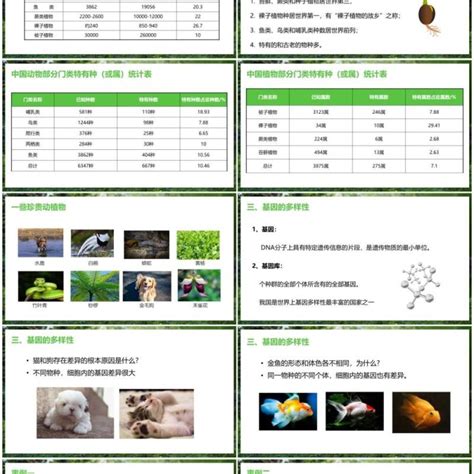 部编版八年级生物上册认识生物的多样性ppt模板ppt模板 【ovo图库】