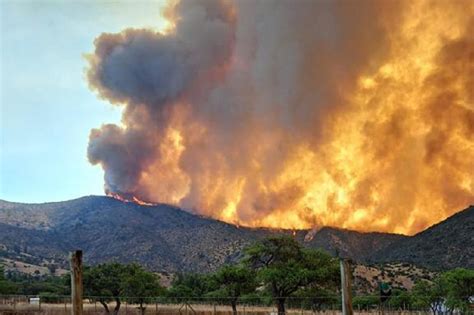 Cuatro Comunas En Alerta Roja Por Incendios Forestales Región De