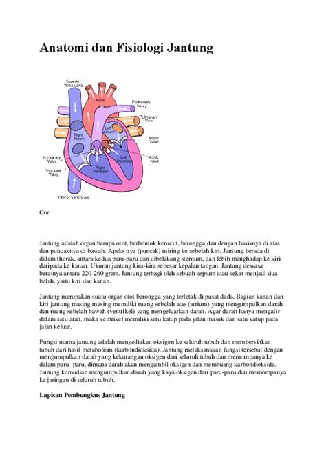 Doc Anatomi Dan Fisiologi Jantung