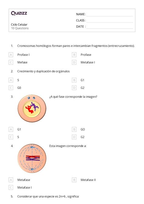 El Ciclo Celular Y La Mitosis Hojas De Trabajo Para Grado En