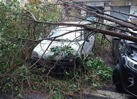 Raffiche Di Vento A Km H Abbattuti Alberi Ferrovie Per Napoli