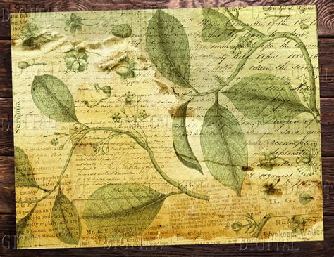 Botanical Junk Journal Printable 14 Vintage Scrapbooking Etsy