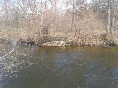 Camp Dearborn Bridge Path Gallery — Legendary Timberworks