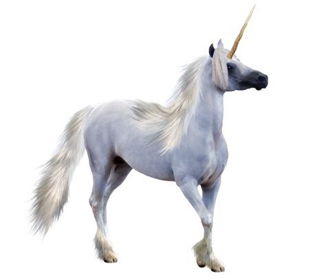 Download Free Unicorn PNG images, download unicorn.png - FreeIconsPNG