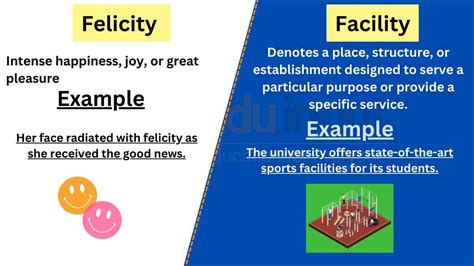 Felicity Vs Facility Difference Between And Examples