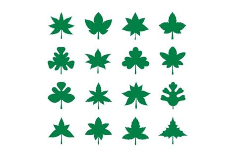 Leaf Symbol Vector Set Graphic by musa.studio · Creative Fabrica