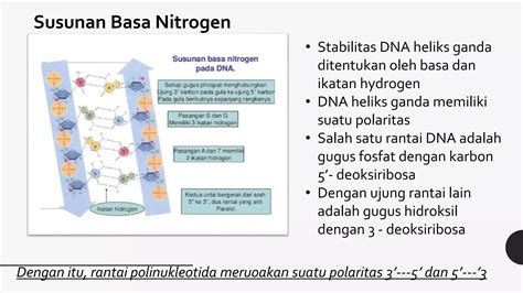 Substansi Genetika Kelas 12 SMA SMT 1 PPT