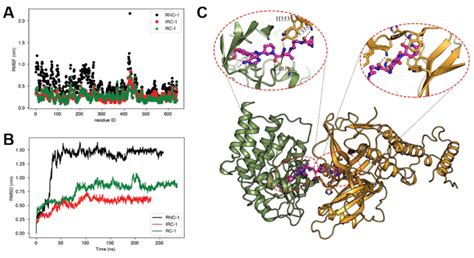 Molecular Dynamics Simulations For Ternary Complexes Of Download