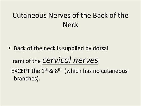 SOLUTION ATAUNI Anatomy Muscles Of Back Studypool