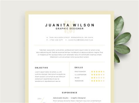 Clean Resume Clean Resume Template Design For Word Innova Resume