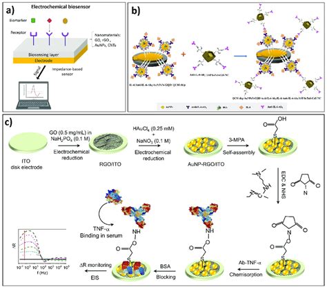 Electrochemical Biosensors A Schematic Illustration Of The General