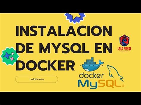 Im Genes De Mysql En Docker C Mo Instalar Y Configurar Mysql Ya